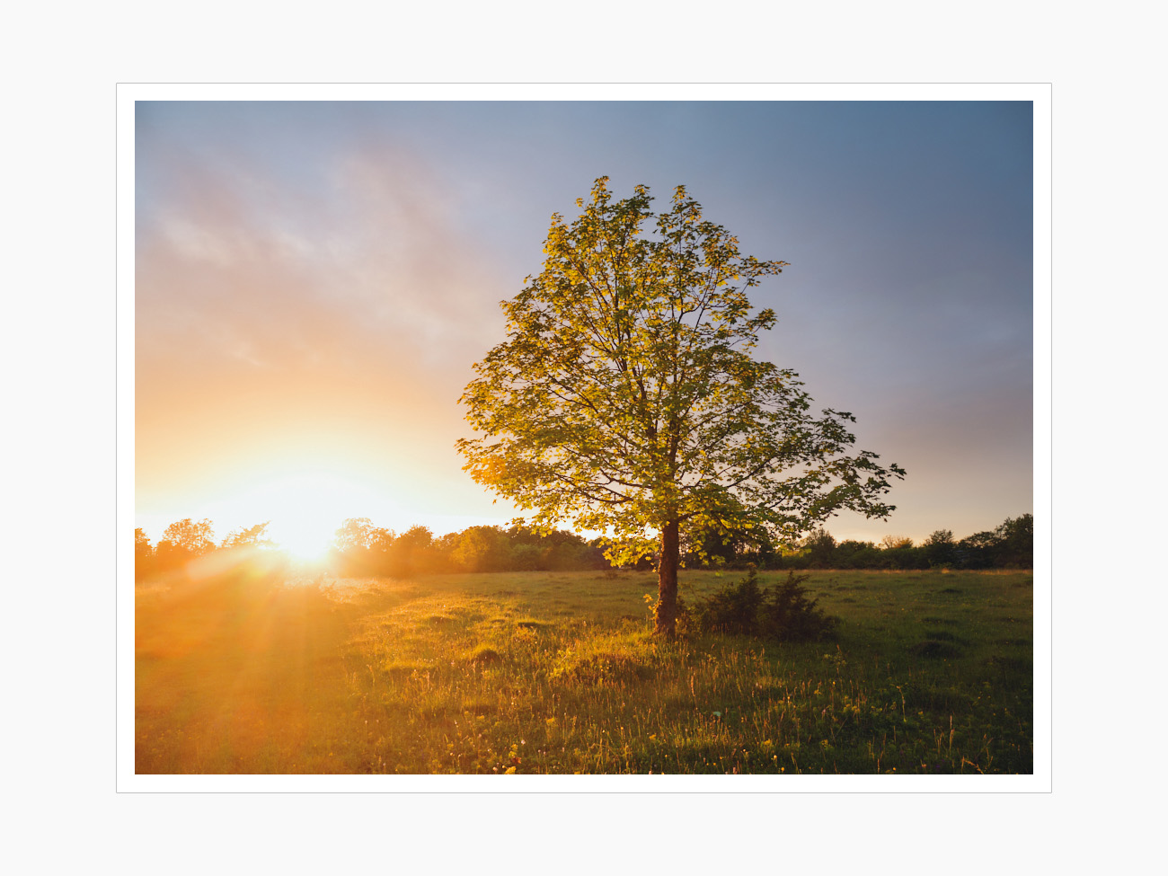 Max Schiefele Alle Bilder  DSF5445